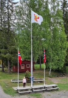 Flaggheising